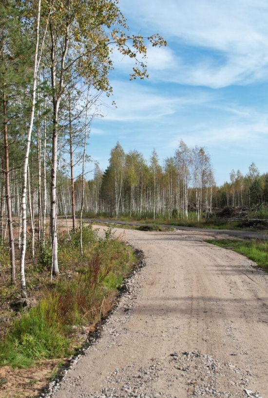 ВОЛЖСКИЙ БЕРЕГ 