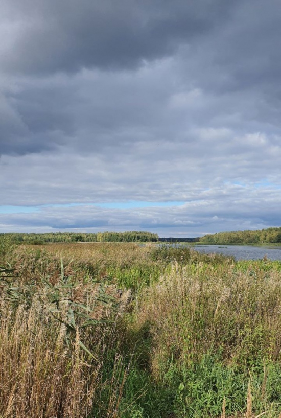 ВОЛЖСКИЙ БЕРЕГ 
