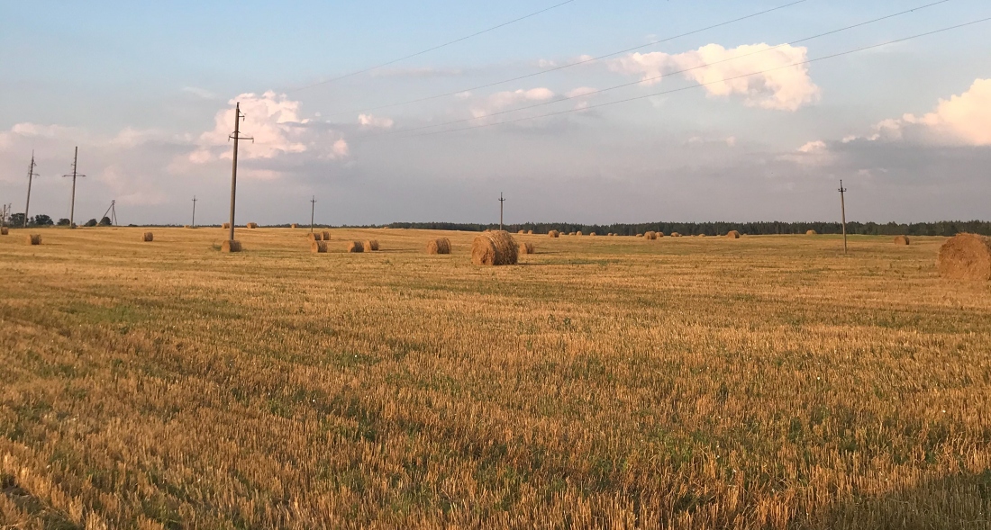 Зайцево дачи